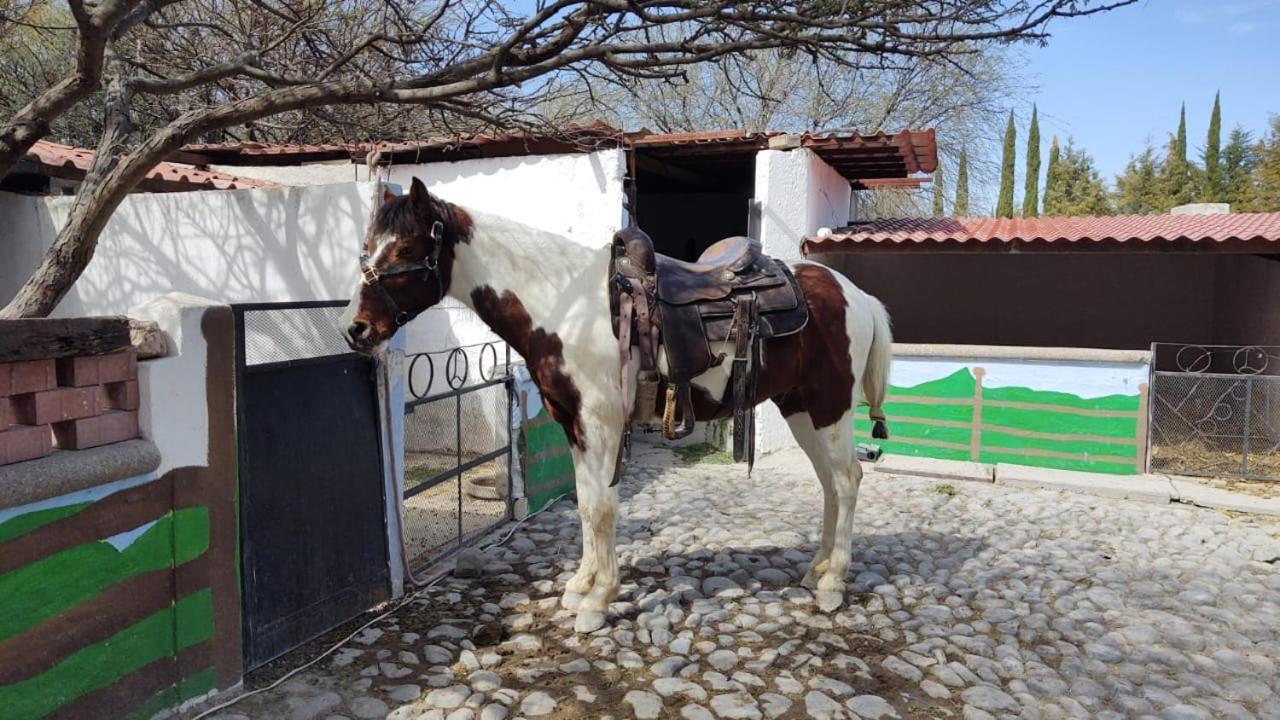 Rancho Labradores Atotonilco  Екстер'єр фото